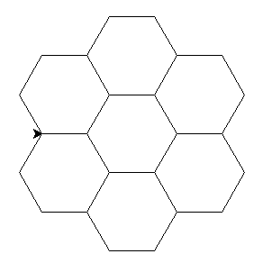 Turtle hexagons