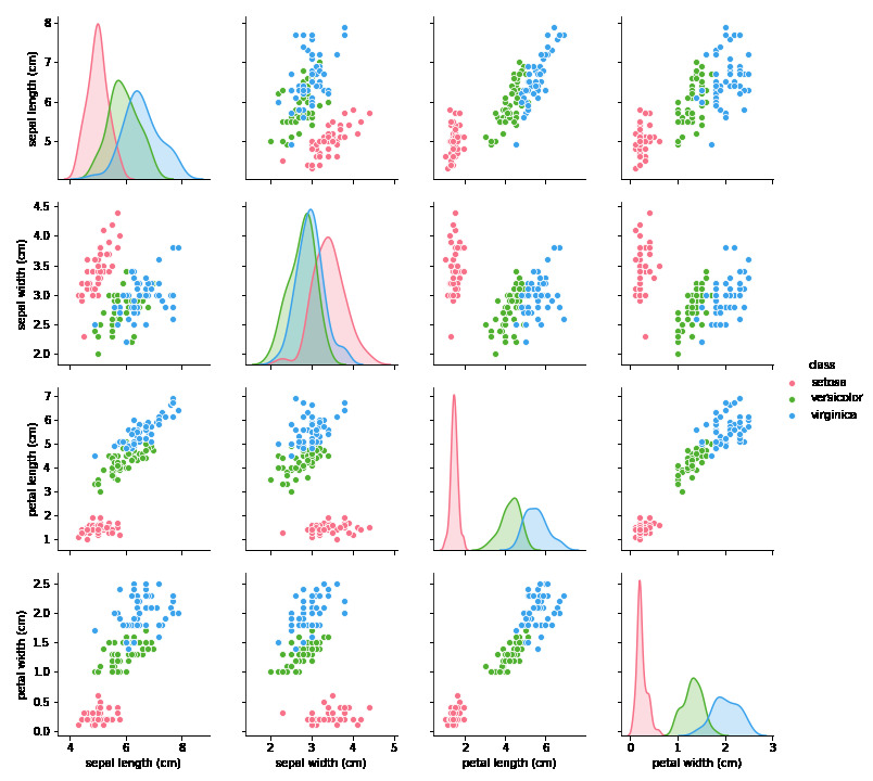 iris_pairplot