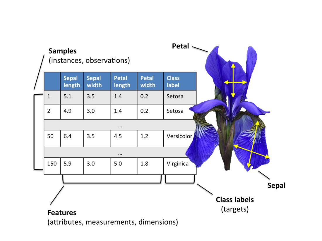 iris_data