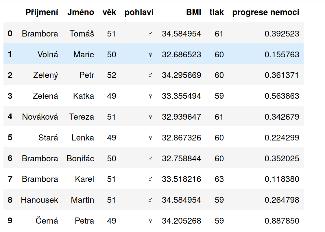 dataset_preview